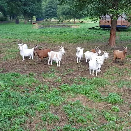 Jagthaus Am Rappelstein Schmallenberg