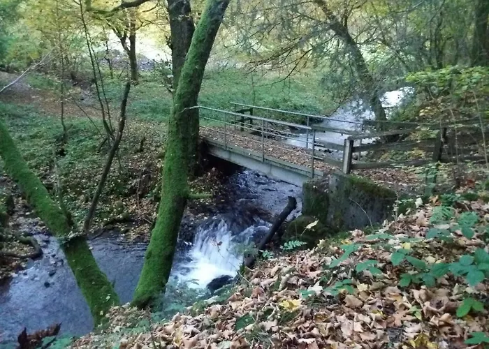Jagthaus Am Rappelstein * Schmallenberg